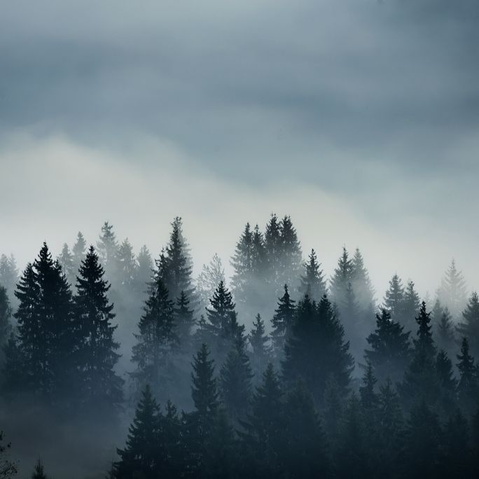 Nebel-Alarm! Graue Aussichten für Deutschland Nebel-Alarm! Graue Aussichten für Deutschland (Foto)