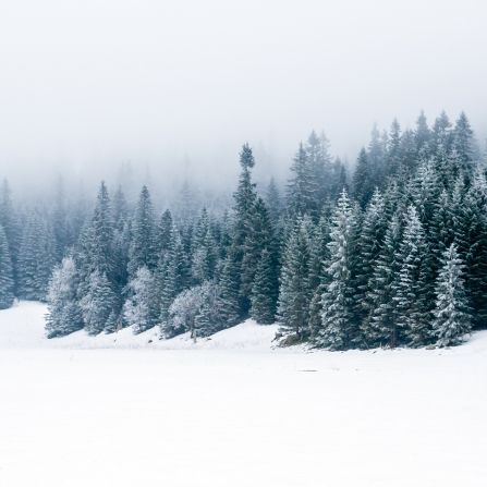 Sonne ohne Kraft! Droht uns jetzt arktische Kälte? Sonne ohne Kraft! Droht uns jetzt arktische Kälte? (Foto)