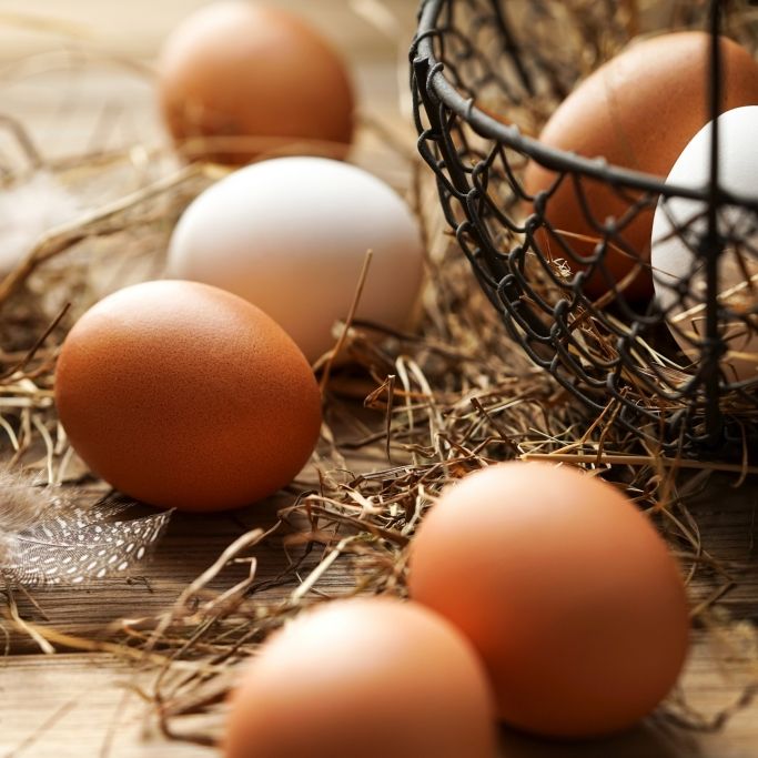 Große Gesundheitsgefahr! Diese Eier enthalten Salmonellen (Foto)