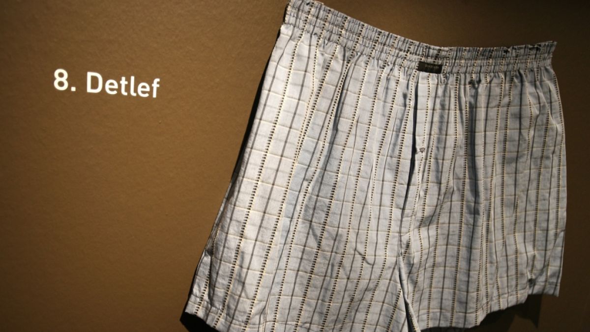 Ihr getragenen Unterhosen können zum Nebenjob werden (Foto)