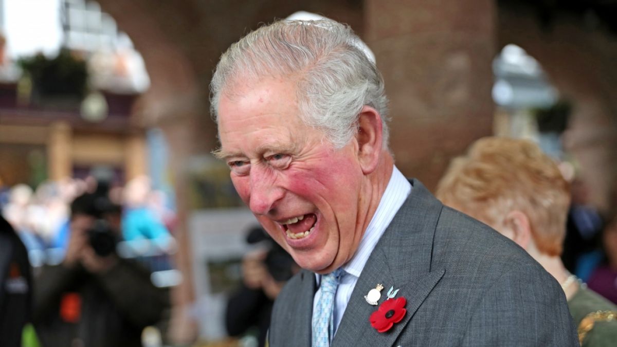Prinz Charles ist offenbar in einen Kunstskandal verwickelt. (Foto)