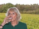 Prost! Camilla, Herzogin von Cornwall, trinkt im Oktober 2019 ein Glas Wein bei einer Weinprobe im Bolney Wine Estate. (Foto)