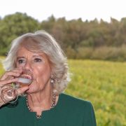 Prost! Camilla, Herzogin von Cornwall, trinkt im Oktober 2019 ein Glas Wein bei einer Weinprobe im Bolney Wine Estate. Prost! Camilla, Herzogin von Cornwall, trinkt im Oktober 2019 ein Glas Wein bei einer Weinprobe im Bolney Wine Estate.