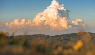 Mammatuswolken über Berlin: "Wattebällchenapokalypse ...