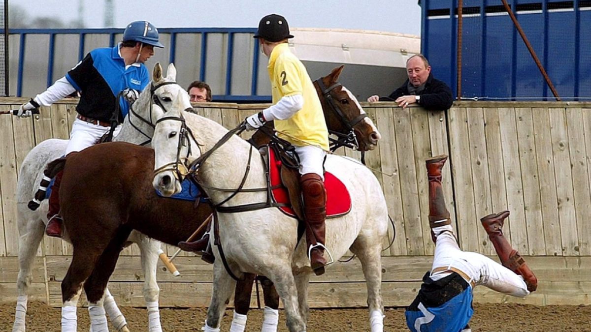 Prinz William purzelt völlig unroyal vom Pferd. (Foto)