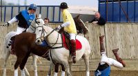 Prinz William purzelt völlig unroyal vom Pferd.