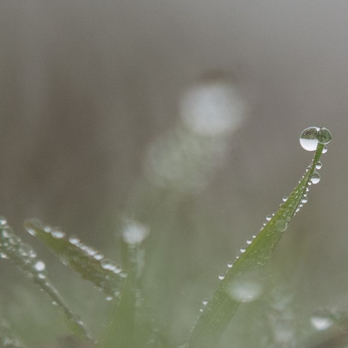 Schnee im Anmarsch! HIER nähert sich der Winter-Wahnsinn Schnee im Anmarsch! HIER nähert sich der Winter-Wahnsinn (Foto)