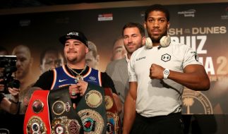 Anthony Joshua gegen Andy Ruiz jr.