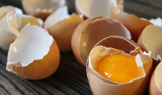 Cholesterin-Schock?!