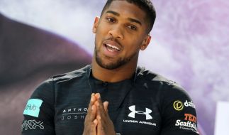 Anthony Joshua privat