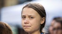 Zeigt das öminöse Video wirklich Greta Thunberg?
