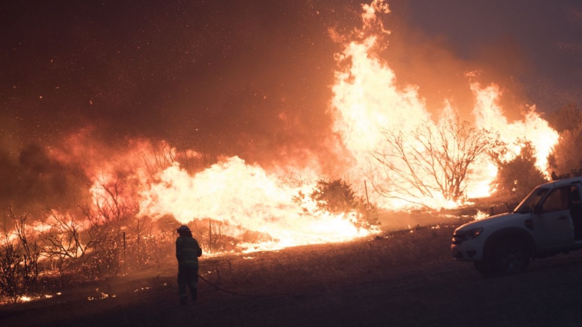 Seit Oktober 2019 wüten Buschbrände in Australien. Immer neue Brandherde lassen die Feuerwehr in Australien nicht zur Ruhe kommen. (Foto)