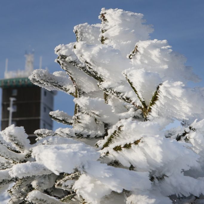 Nebel an Neujahr, Schnee am Wochenende? So wird das Wetter zum Jahresbeginn Nebel an Neujahr, Schnee am Wochenende? So wird das Wetter zum Jahresbeginn (Foto)