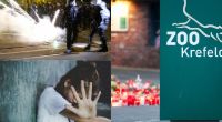 Schocker-News der Woche mit Feuer-Inferno im Krefelder Zoo, Ausschreitungen in Leipzig-Connewitz und Teenager-Tod nach Inzest-Geburt.