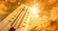 Wird 2020 wieder ein rekordverdächtiges Hitzejahr?