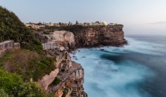 Viagra tabletten für stiere