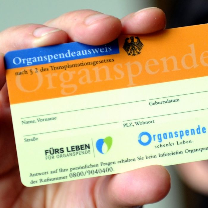 Bundestag beschließt moderate Reform der Organspende Bundestag beschließt moderate Reform der Organspende (Foto)