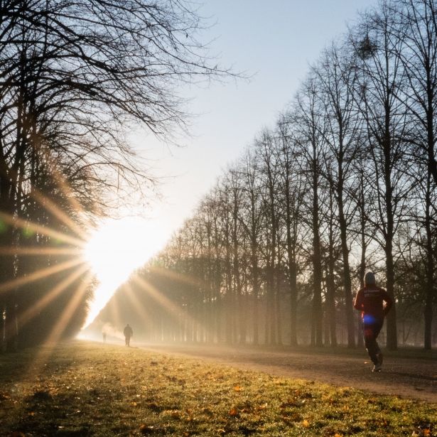 "Wärmekeule!" Meteorologe schockt mit DIESER Winter-Prognose "Wärmekeule!" Meteorologe schockt mit DIESER Winter-Prognose (Foto)
