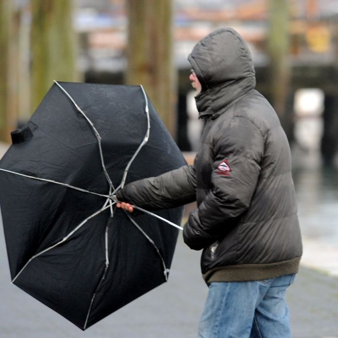 Sturm-Warnung für NRW! Jetzt drohen Orkan-Böen mit Regen und Gewitter