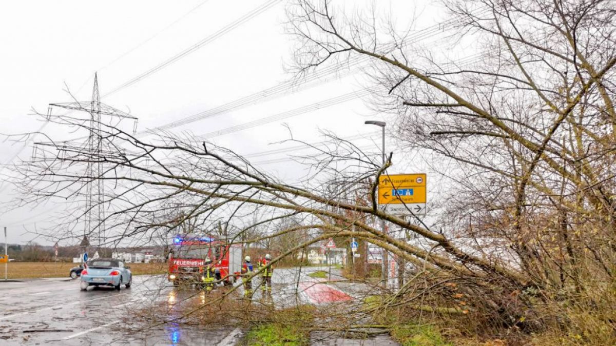 (Symbolbild): Im Saarland wurde eine Frau nach der Sturm-Nacht von einem herabfallenden Ast tödlich verletzt. (Foto)