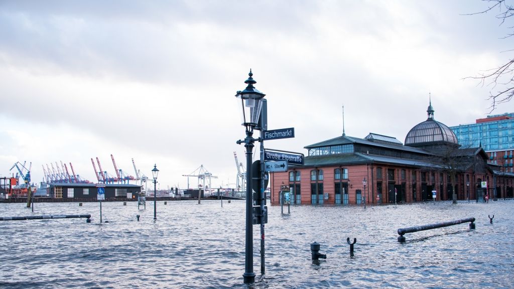 Hamburg: Der Fischmarkt mit der Fischauktionshalle steht während einer Sturmflut unter Wasser. (Foto)