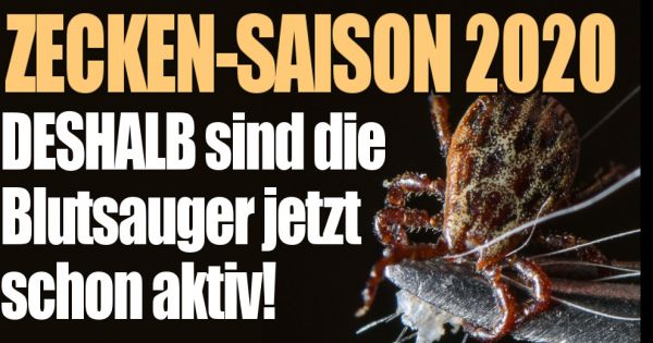 Zecken-Saison 2020 : DESHALB sind die bösen Blutsauger ...