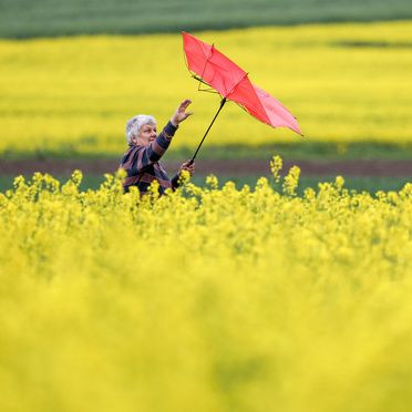 Mild wie im Frühling - doch Sturmtief "Victoria" bringt Regen und Sturm! Mild wie im Frühling - doch Sturmtief "Victoria" bringt Regen und Sturm! (Foto)