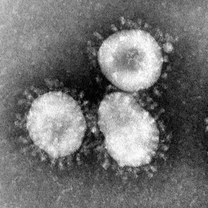 14 weitere Coronavirus-Infektionen in NRW 14 weitere Coronavirus-Infektionen in NRW (Foto)