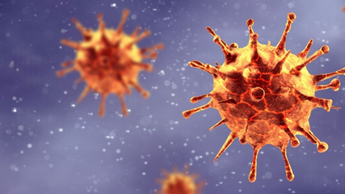 Wie tödlich ist das Corona-Virus wirklich? Wie wahrscheinlich ist es, in Deutschland an COVID-19 zu sterben? (Foto)