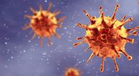 Wie tödlich ist das Corona-Virus wirklich? Wie wahrscheinlich ist es, in Deutschland an COVID-19 zu sterben?