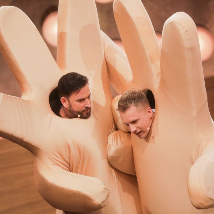 Endlich Millionäre! DIESE Mega-Gage kassieren die Streithähne von RTL Endlich Millionäre! DIESE Mega-Gage kassieren die Streithähne von RTL (Foto)