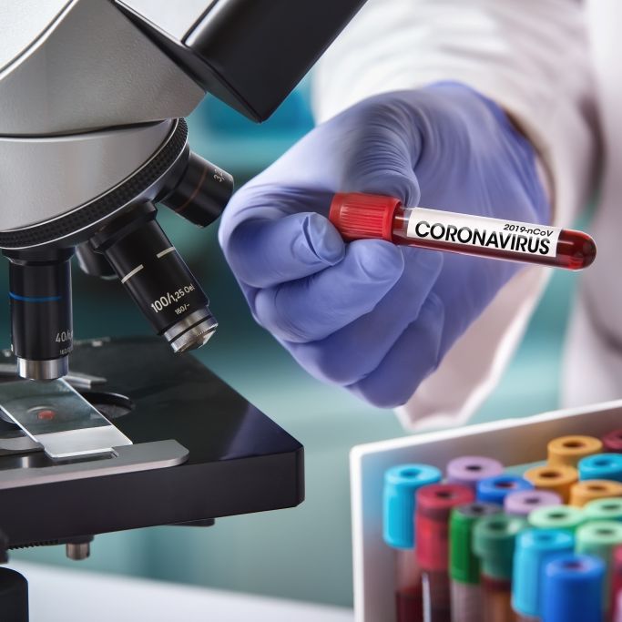 Wirkt DIESES Ebola-Medikament gegen Covid-19? Wirkt DIESES Ebola-Medikament gegen Covid-19? (Foto)