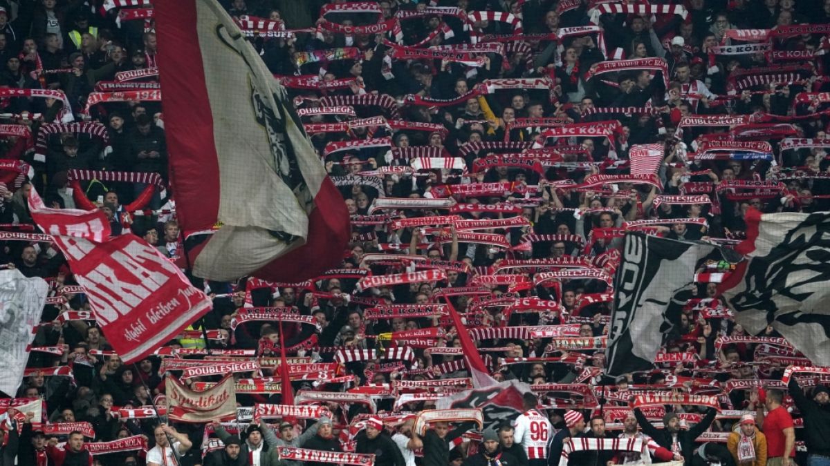 Auf der Tribüne feuern die Fans des 1. FC Köln ihre Mannschaft an. (Symbolbild) (Foto)