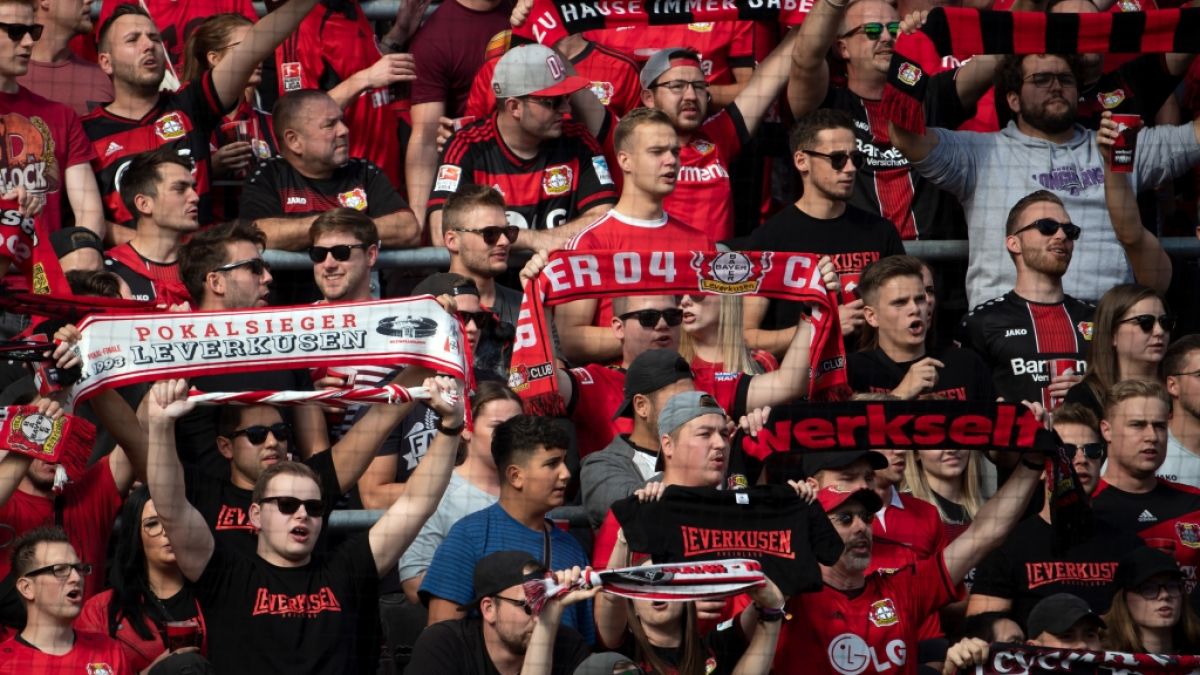 Unter ihren Schals feuern die Fans Bayer 04 Leverkusen an. (Symbolbild) (Foto)