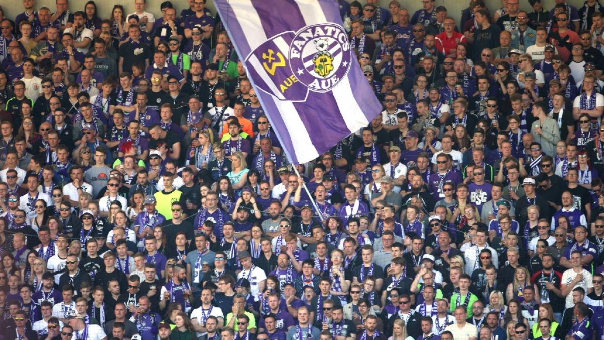 In den Farben der Mannschaft unterstützen die Fans ihren Verein Erzgebirge Aue. (Symbolbild) (Foto)