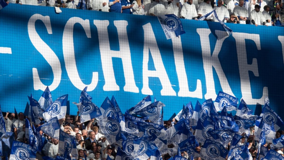 Mit wehenden Fahnen feuern die Fans von Schalke 04 ihre Mannschaft an. (Symbolbild) (Foto)
