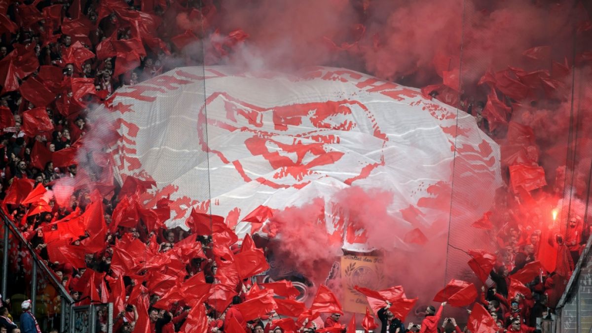 Mit roten Fahnen unterstützen die Fans vom Halleschen FC ihre Mannschaft. (Symbolbild) (Foto)