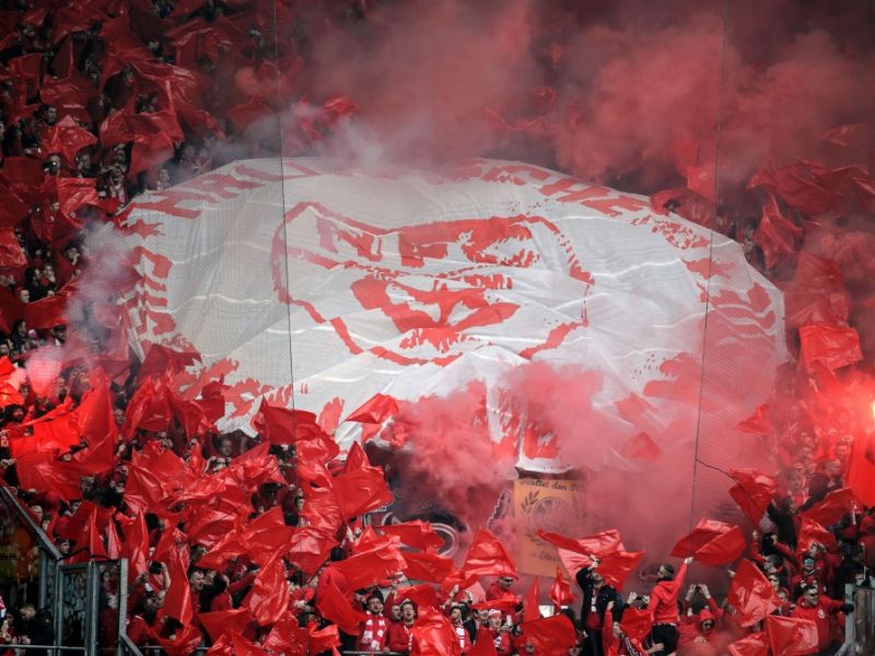 Halle vs. Greifswalder FC verpasst?: Halle im Rausch - Greifswalder FC kann nicht überzeugen