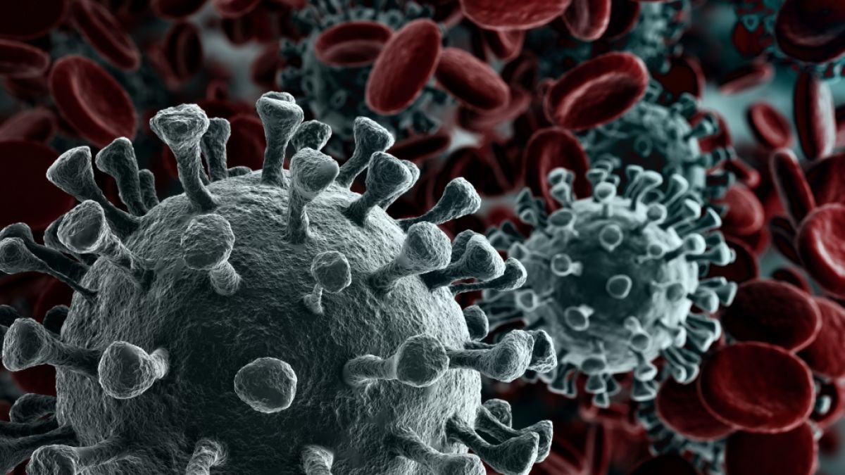 Sind manche Blutgruppen anfälliger für das Coronavirus als andere? (Foto)