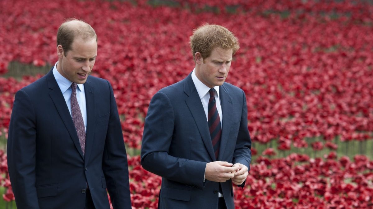 Wie zerrüttet ist das Verhältnis zwischen Prinz William und Prinz Harry tatsächlich? (Foto)