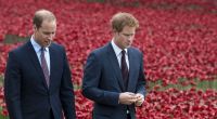 Wie zerrüttet ist das Verhältnis zwischen Prinz William und Prinz Harry tatsächlich?