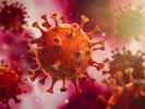 Welchen Einfluss hat das Wetter auf die Ausbreitung des Coronavirus? (Foto)