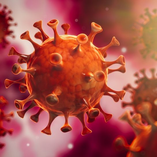 Welchen Einfluss hat das Wetter auf Coronavirus-Verbreitung? Welchen Einfluss hat das Wetter auf Coronavirus-Verbreitung? (Foto)