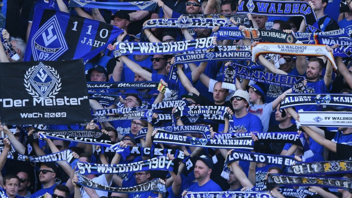 Mit ihren Schals in der Luft feuern die Fans vom SV Waldhof Mannheim ihre Mannschaft an. (Symbolbild) (Foto)