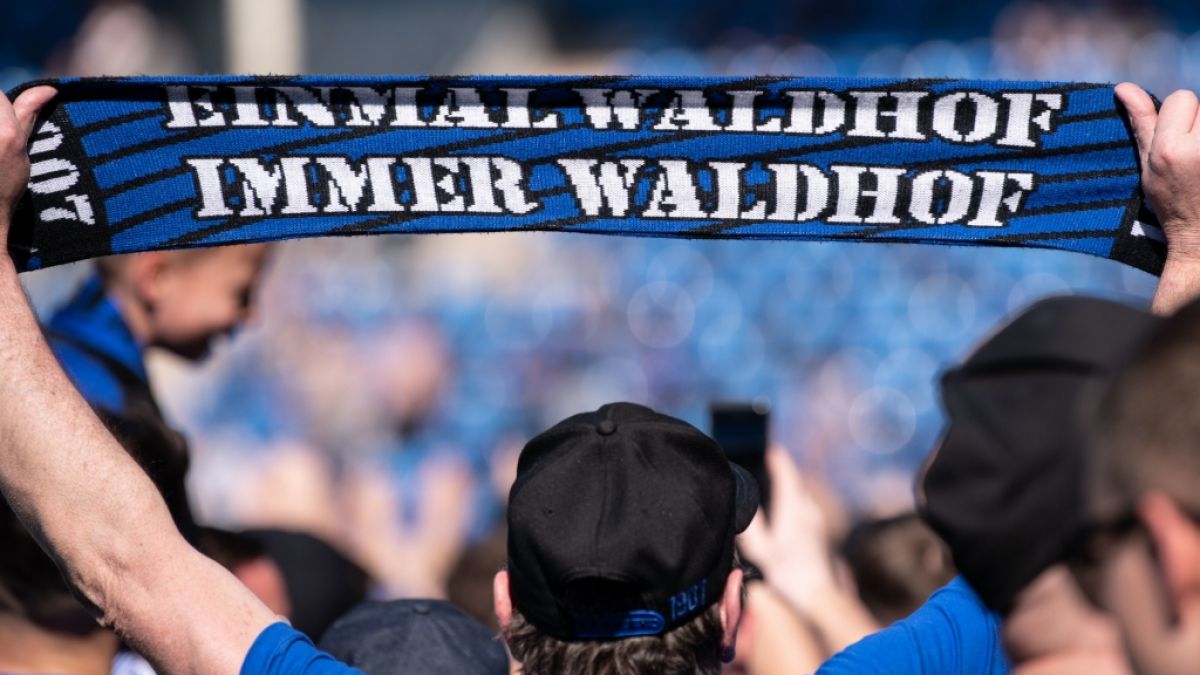 Die Fans vom SV Waldhof Mannheim tun was sie können, um ihren Verein zu unterstützen. (Symbolbild) (Foto)