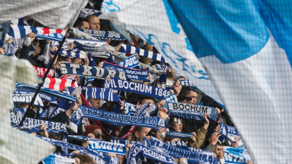 Mit Fahnen und Schals zeigen die Fans vom VfL Bochum, für wen ihr Herz schlägt. (Symbolbild) (Foto)