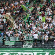 Mit Fahnen und Jubel feuern die Fans des VfL Wolfsburg ihren Verein an. (Symbolbild) Mit Fahnen und Jubel feuern die Fans des VfL Wolfsburg ihren Verein an. (Symbolbild) (Foto)