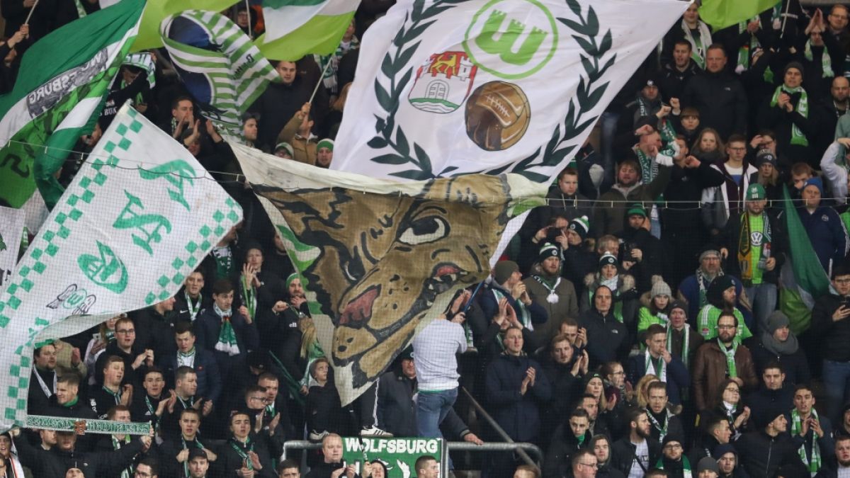 Der VfL Wolfsburg wird von seinen Fans mit Jubel und Gesängen unterstützt. (Symbolbild) (Foto)