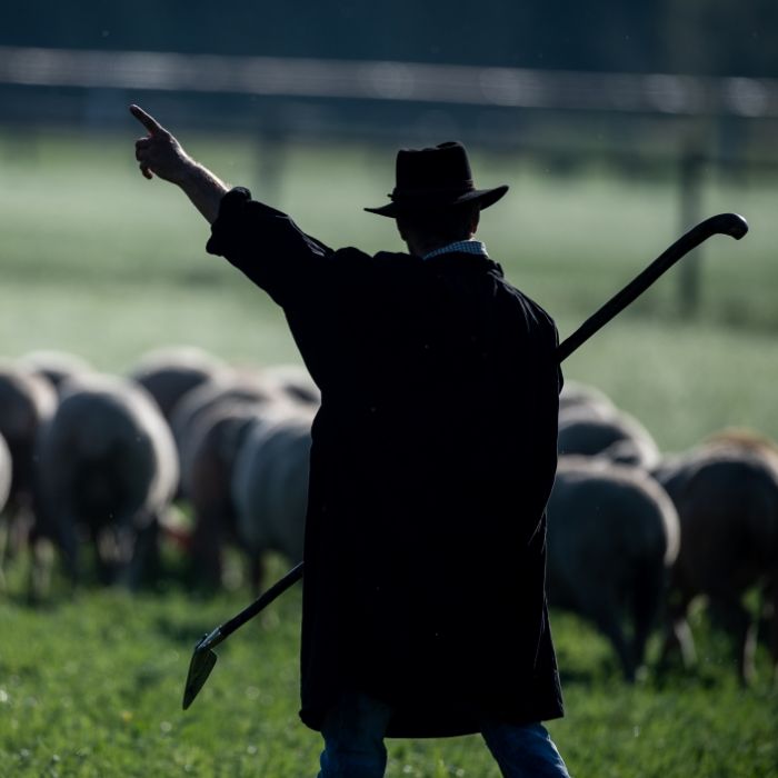 "Bauer sucht Frau"-Schäfer Heinrich fürchtet Corona-Pleite "Bauer sucht Frau"-Schäfer Heinrich fürchtet Corona-Pleite (Foto)