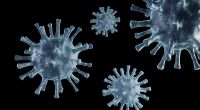 In England starb ein 13-Jähriger an den Folgen einer Coronavirus-Infektion.